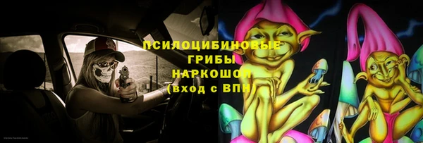 spice Беломорск