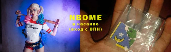 индика Богородицк