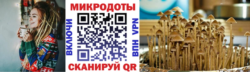 Купить  Углич  Псилоцибиновые грибы прущие грибы 